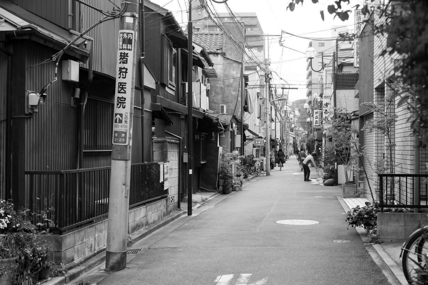 RavinalaParis　らびならぱり